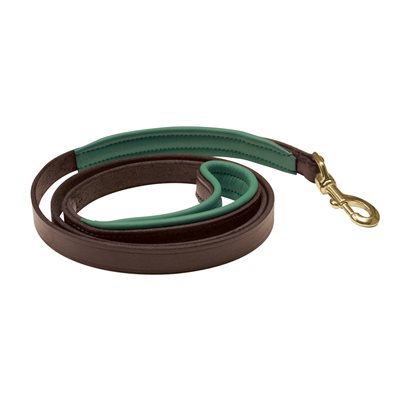 Perri's® Padded Leather Dog Leash, 5' X 1" - Multiple Color Options