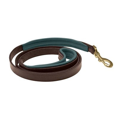 Perri's® Padded Leather Dog Leash, 5' X 1" - Multiple Color Options