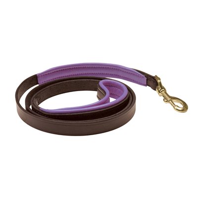 Perri's® Padded Leather Dog Leash, 5' X 1" - Multiple Color Options