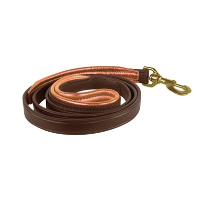 Perri's® Padded Leather Dog Leash, 5' X 1" - Multiple Color Options