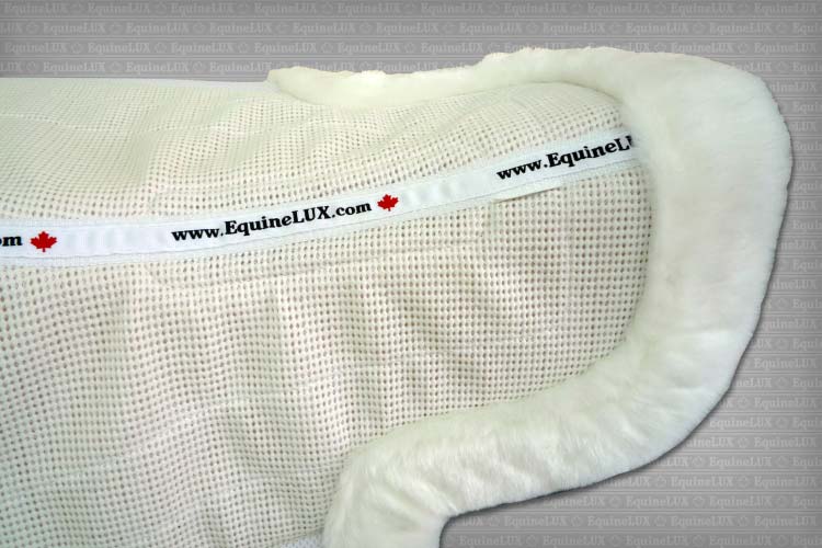 EquineLux Edge-Contoured Hunter Saddle Pad with Fleece Rolled Edge (No Pockets)