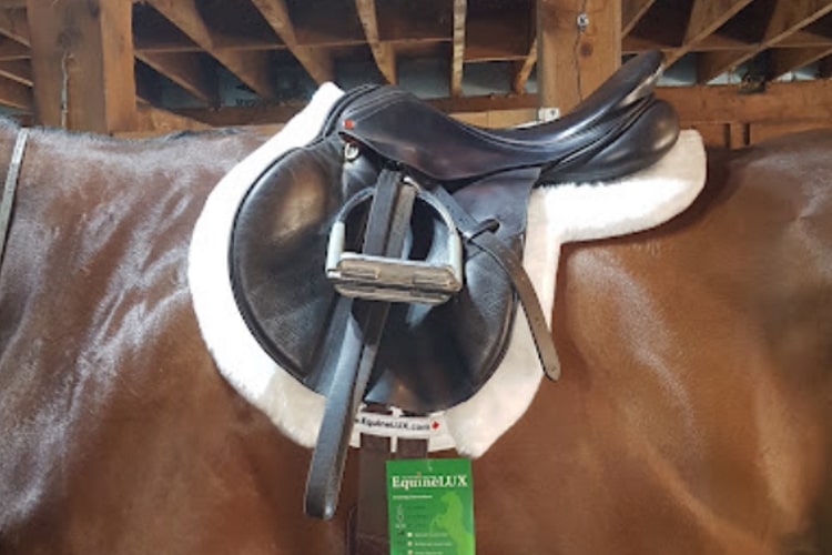 Sheepskin western saddle pad hot sale