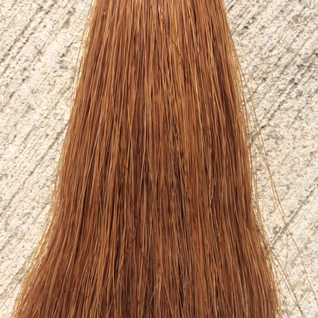 Light Sorrel Show Tail Extension