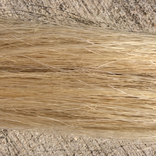 Golden White Show Tail Extension